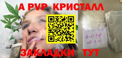 индика Обнинск