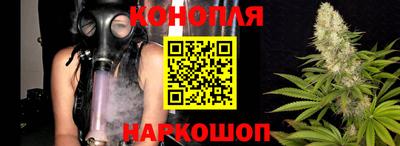 индика Обнинск