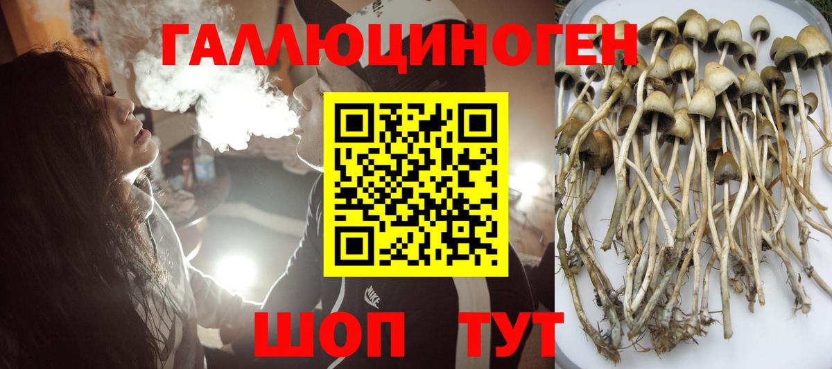 Псилоцибиновые грибы GOLDEN TEACHER  Вход с VPN  Топки 