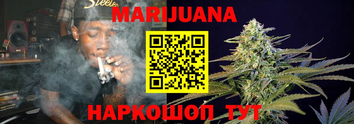 Каннабис сатива  Конопля план  Каннабис тримм  Топки  Вход с VPN  Канабис индика 